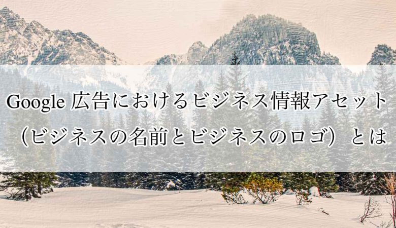 Google 広告におけるビジネス情報アセット（ビジネスの名前とビジネスのロゴ）とは